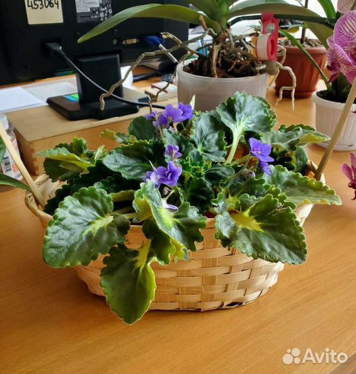 Корзина плетеная, пасха