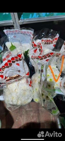 Хризантемы Кустовые