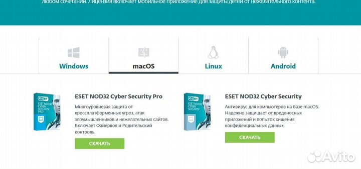 Ключ Eset NOD32 Internet
