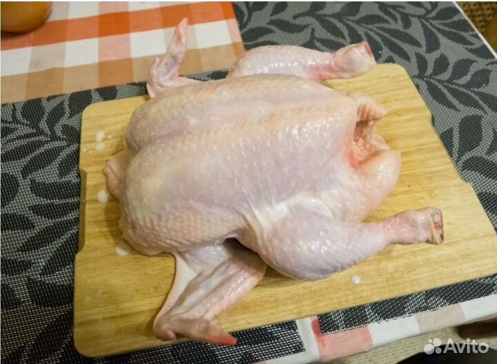 Бройлер домашний