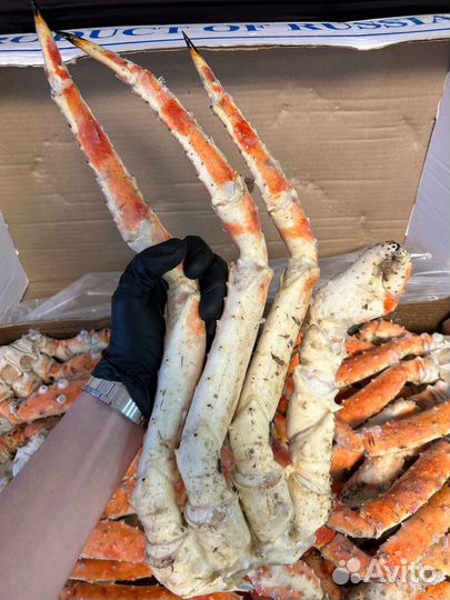 Клешни камчатского краба (Размер Л)