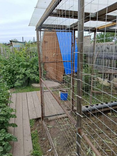 Дом 20 м² на участке 6 сот.