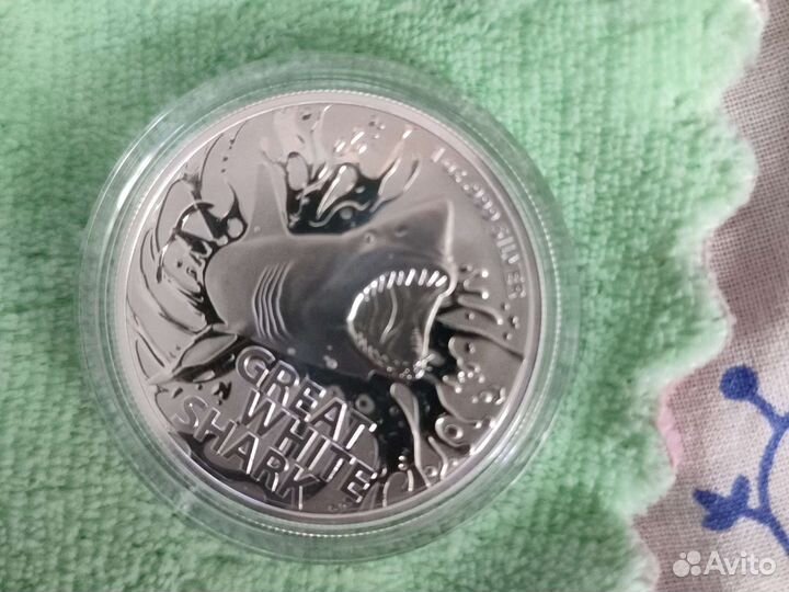 Акула из серии опасные животные Австралии