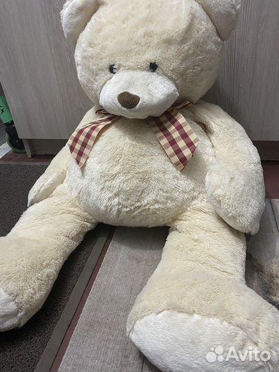 Плюшевый медведь