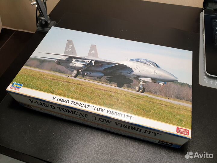 Hasegawa 01945 F-14B/D 