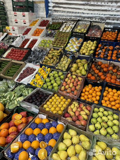 Фрукты оптом и в розницу