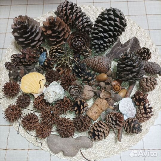Поделки из природного материала