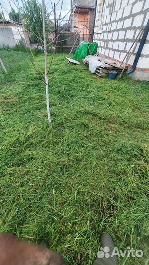 Покос травы,Зачистка участков,Спил деревьев