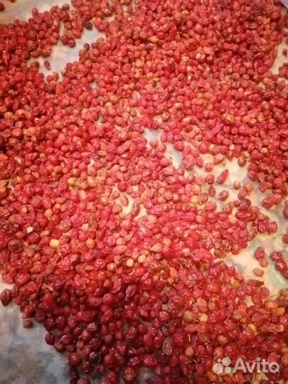 Шиповник сушеный