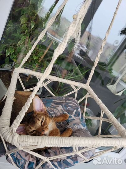 Лежанка для кошек