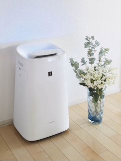 Из Японии Sharp Ki-NX75 в любом количестве