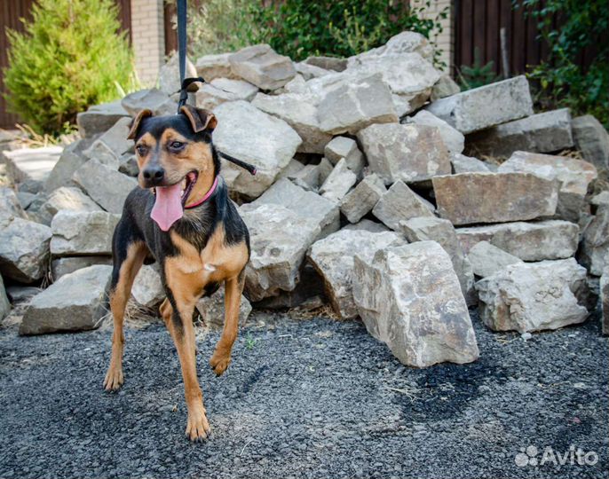 Очень нужен дом