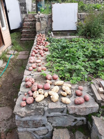 Дом 31 м² на участке 10 сот.