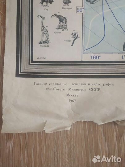 Зоогеографическая карта мира 1967 год