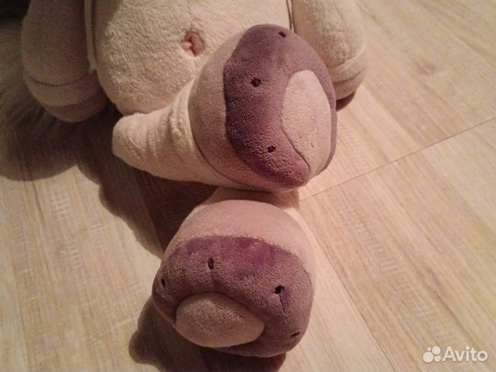 Милая лошадка