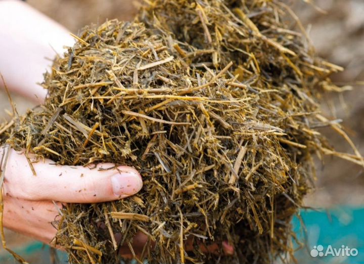 Сенаж силос