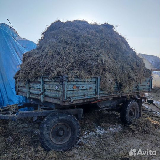 Навоз с доставкой