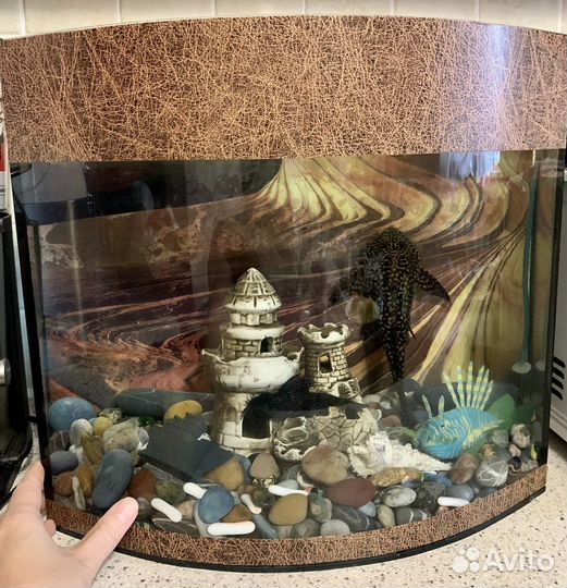 Аквариум 30л