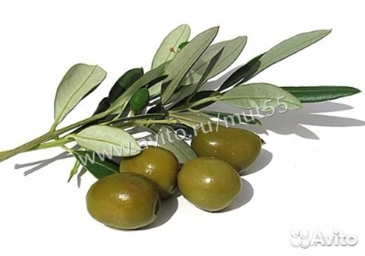 Машинка для удаления косточек вишни