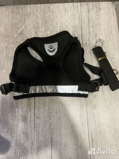 Шлейки с поводком