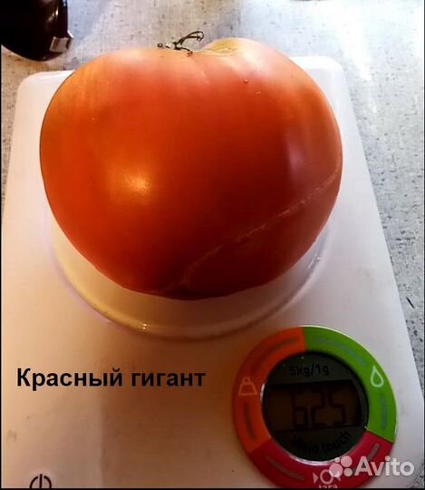 Семена томатов