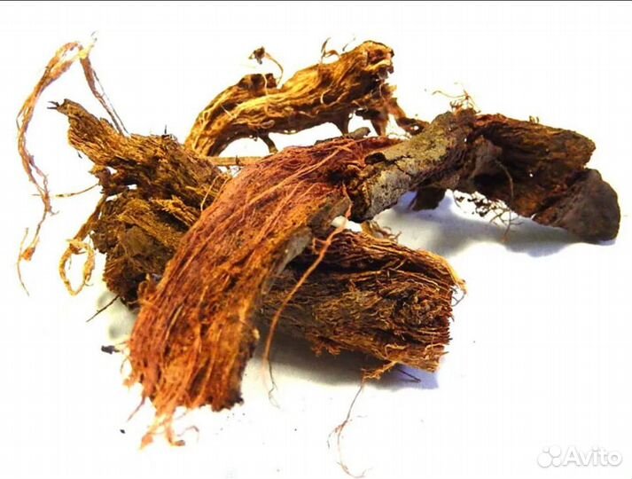 Красный корень для Мужчин (Алтайский)