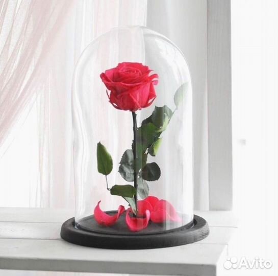 Роза в колбе