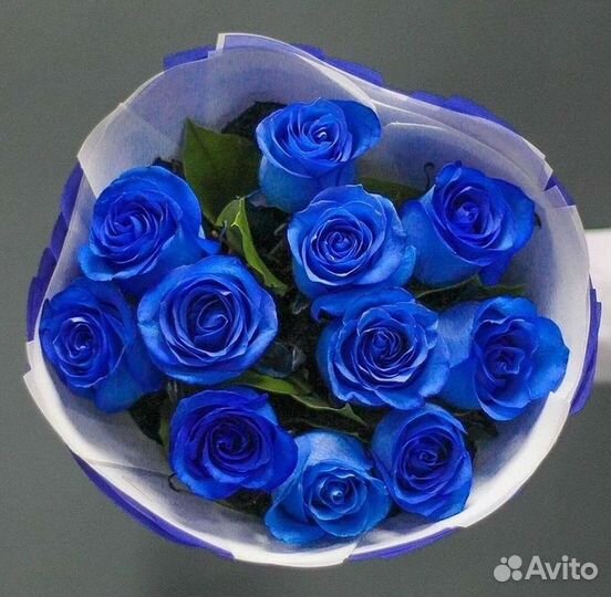 Синие розы Цветы Доставка