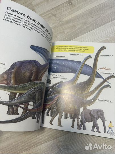 Энциклопедии про динозавров