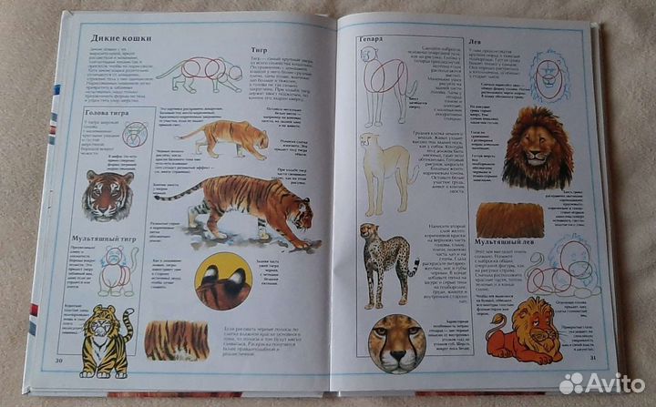 Энциклопедии и книги для детей