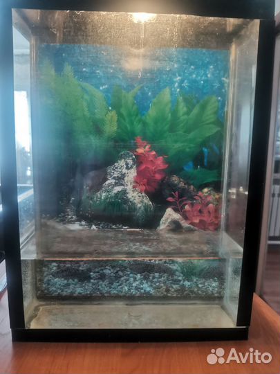 Аквариум