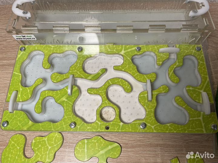 Муравьиная ферма без муравьев