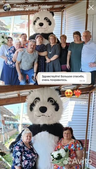 Аниматор панда кукла