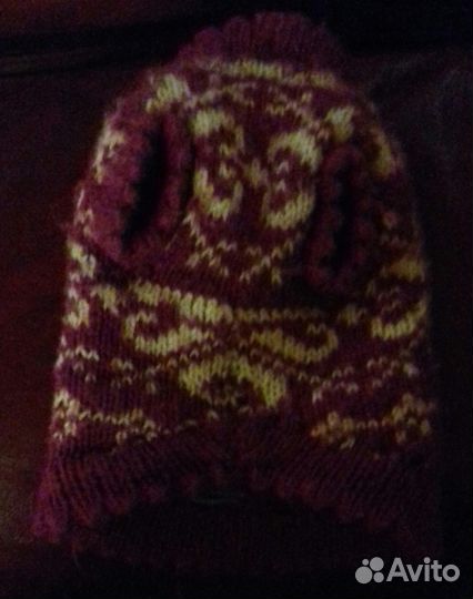 Одежда для животных