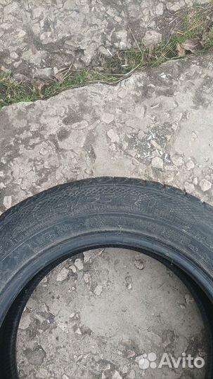 Nord Wolf Cargo 195/65 R15