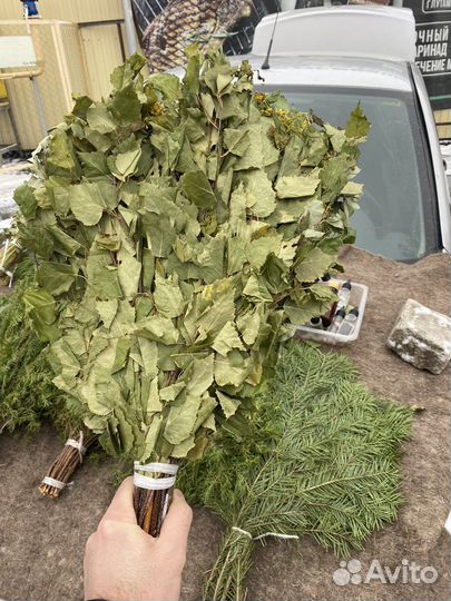 Веники березовые