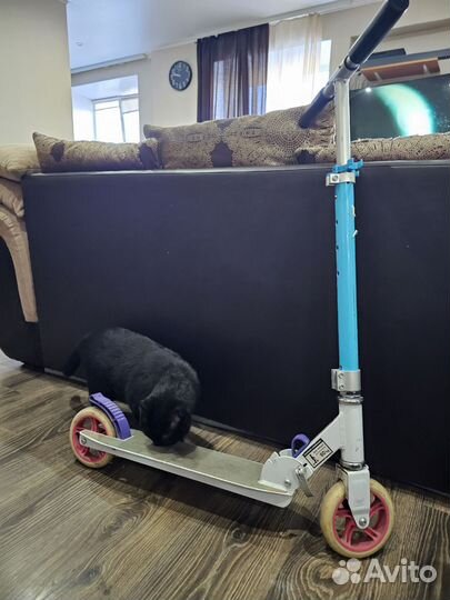 Самокат детский, колеса 145 мм