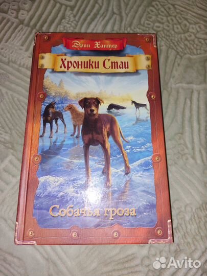 Хроники стаи. собачья гроза