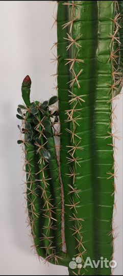 Искусственный кактус