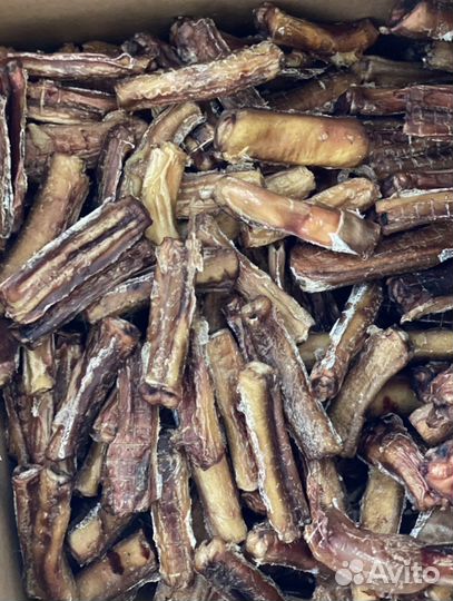 Бычий корень