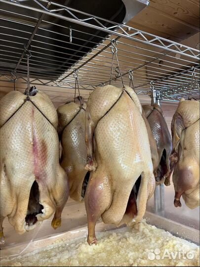 Казылык Чак чак Гуси копченые и вяленые