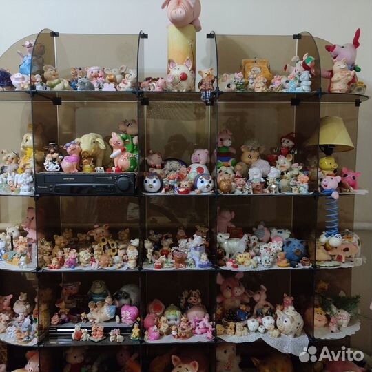 Уникальная коллекция поросят