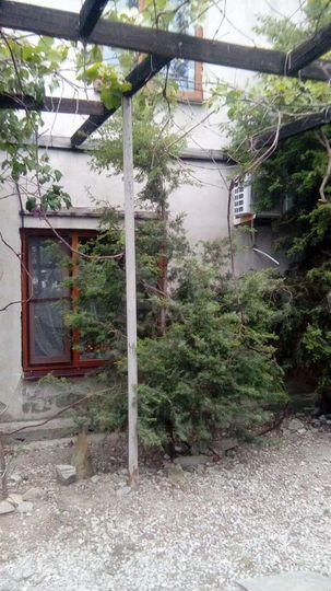 Дом 60 м² на участке 4 сот.