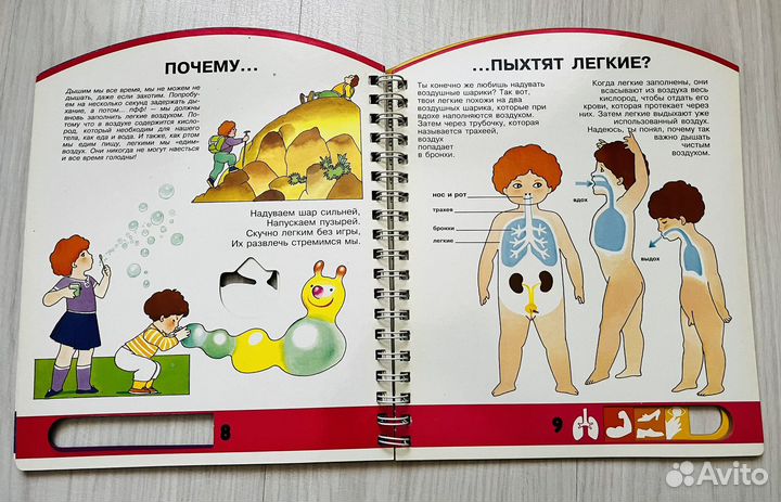 Человек, окошки в твой мир