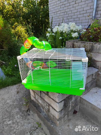 Клетка для грызунов бу