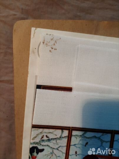 Dimensions Maggie the messmaker