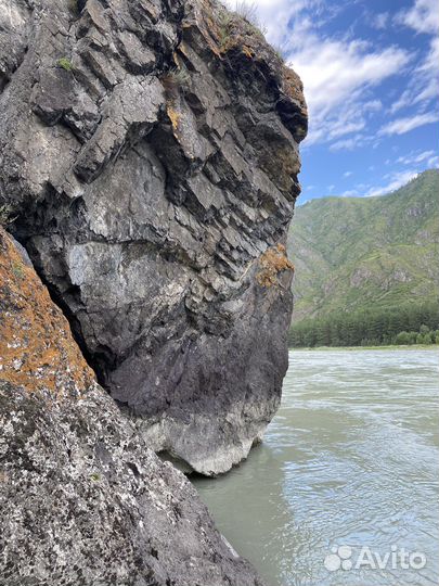 Туры по Алтаю