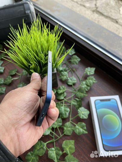 iPhone 12, 128 ГБ