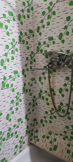 1-к. квартира, 27 м², 1/5 эт.