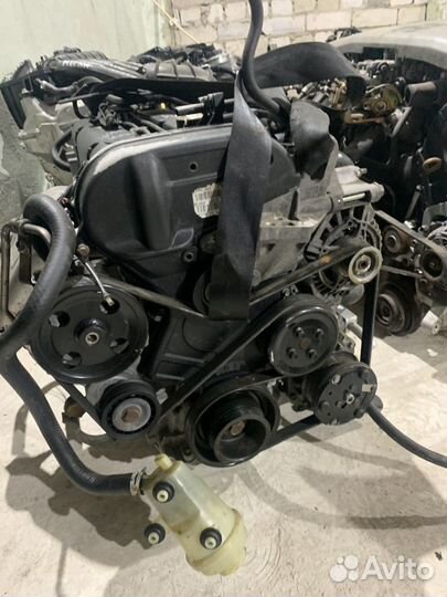 Двигатель Ford focus 1.6